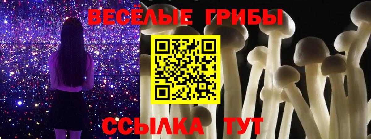 Галлюциногенные грибы MAGIC MUSHROOMS Новочеркасск